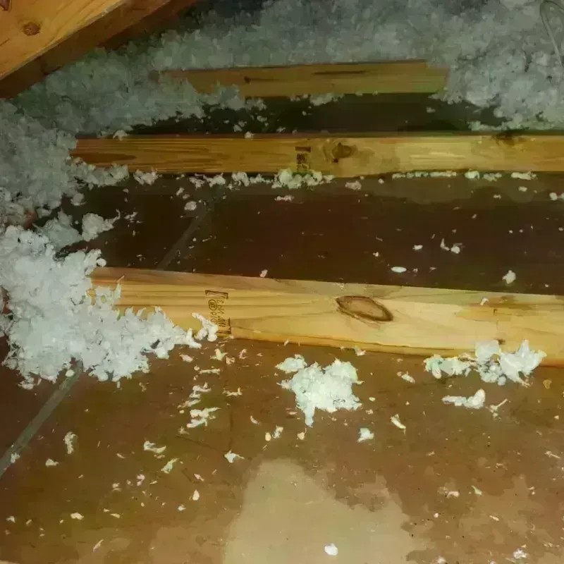 Attic Water Damage in Rossville, KS