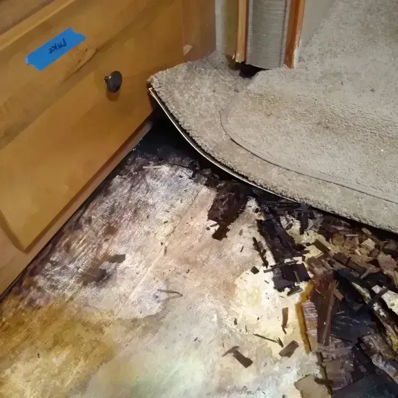 Best Wood Floor Water Damage Service in Rossville, KS